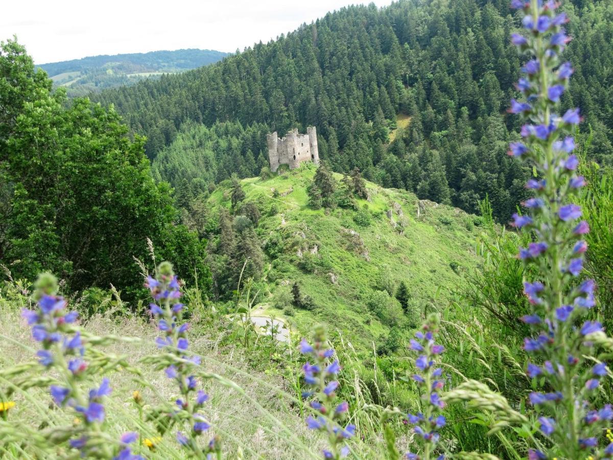 Hotel Des Rochers Marvejols Eksteriør bilde