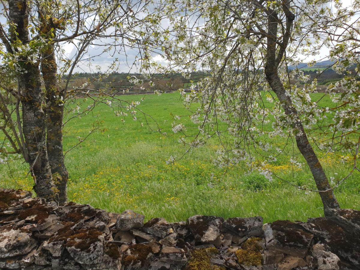 Hotel Des Rochers Marvejols Eksteriør bilde